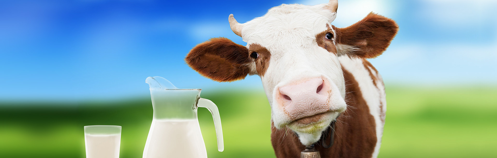 ADM Laboratories - Clovis NM - Milk & Feed Testing
