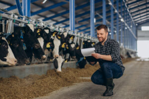 cow herd testing dhi dairy dairies